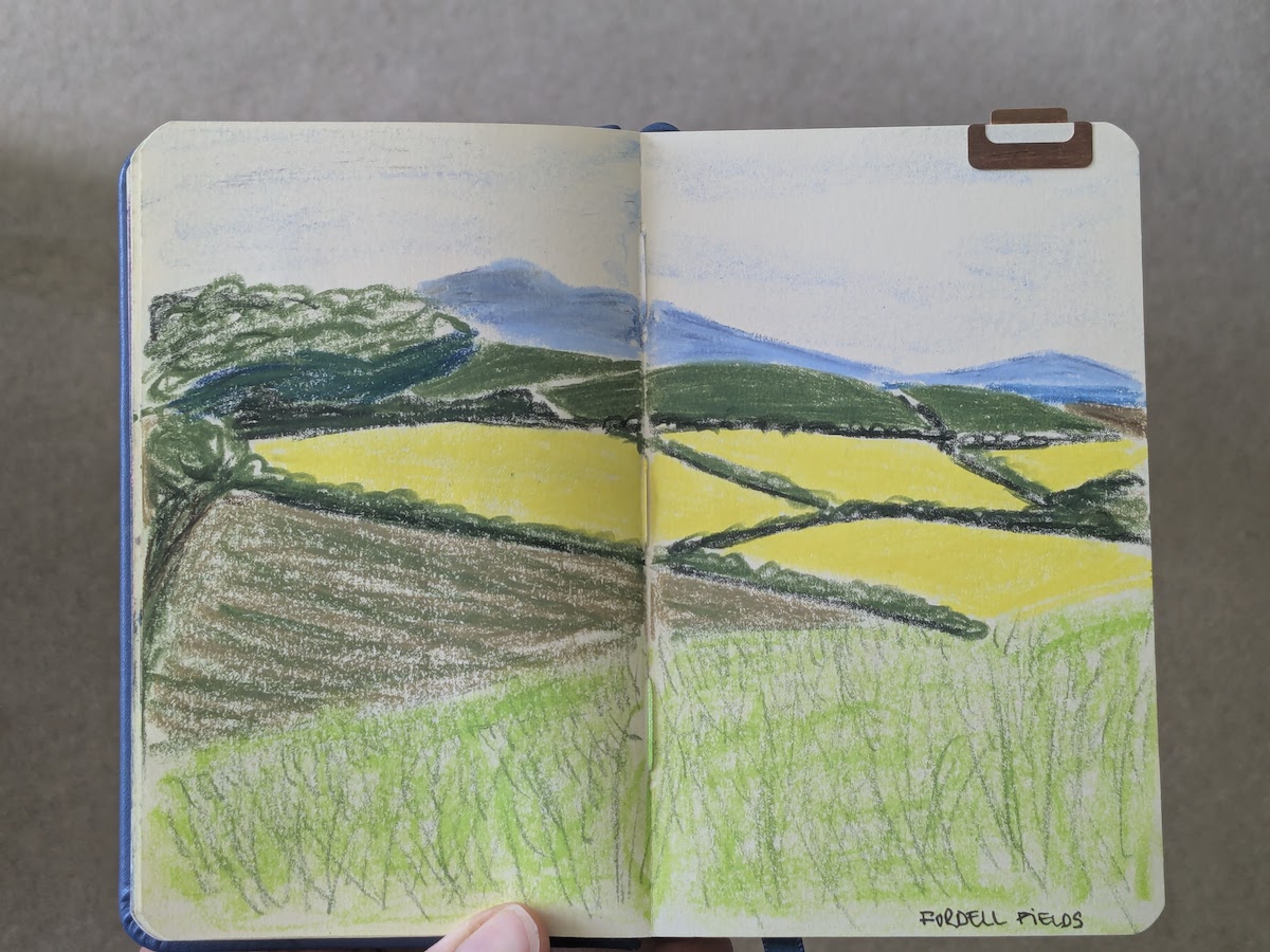 Crayon sketch of rapeseed fields